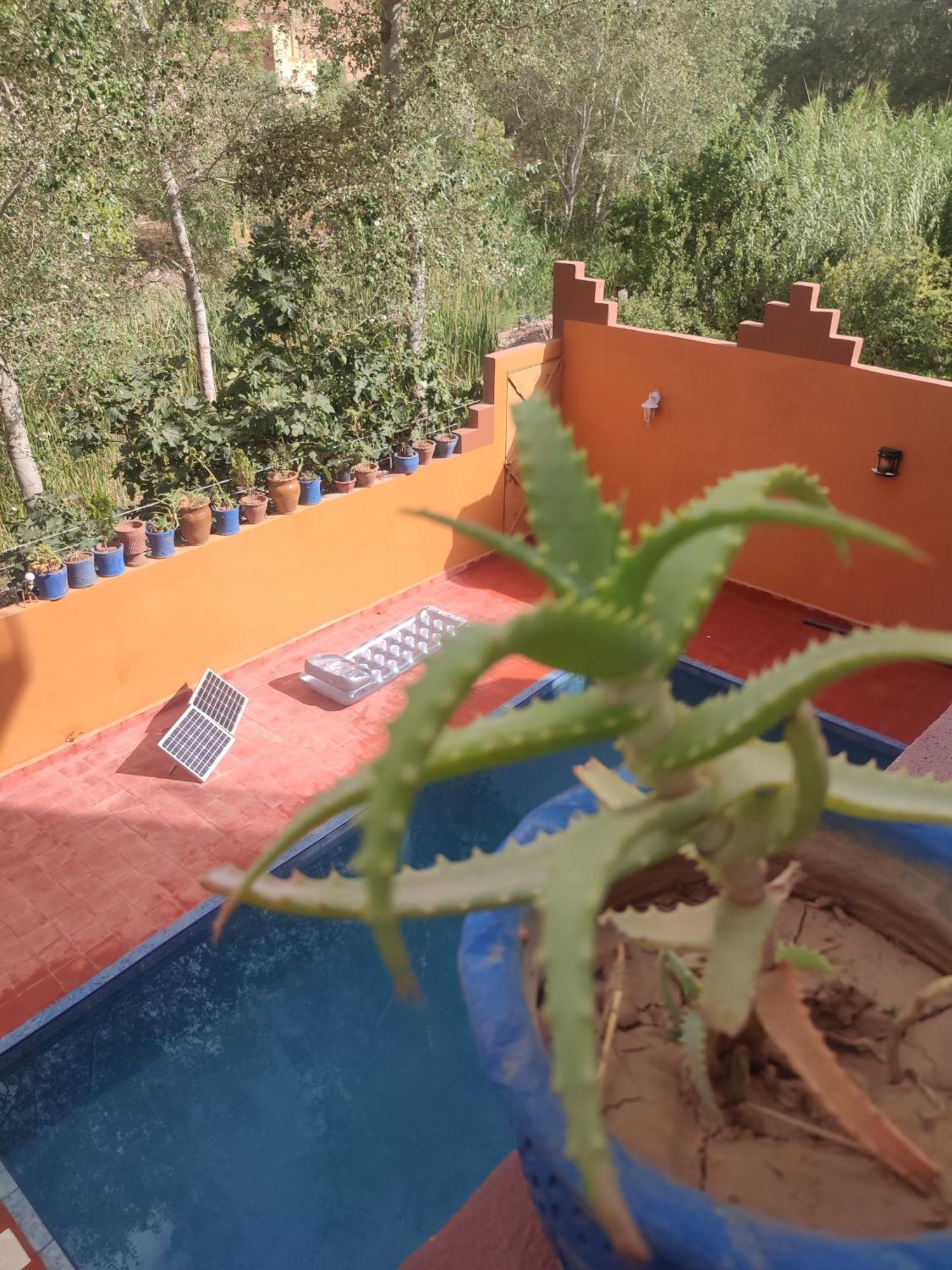 Boumalne Auberge De La Riviere Du Dades المظهر الخارجي الصورة